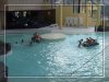 Tropisch zwembad in Bohon-Durbuy